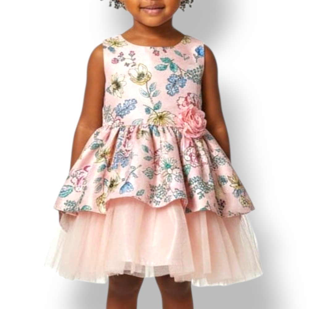 Coquette Floral Pink Fit & Flare Tulle Rosette‎ Dress Nannette Kids Toddler 2T